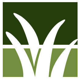 Livermore Lawn Clean Up