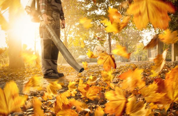 Leaf Blowing Service in Livermore