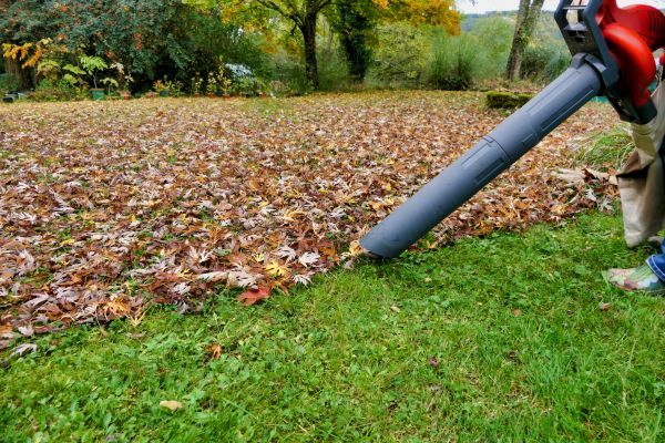 Leaf Vacuuming Service in Livermore