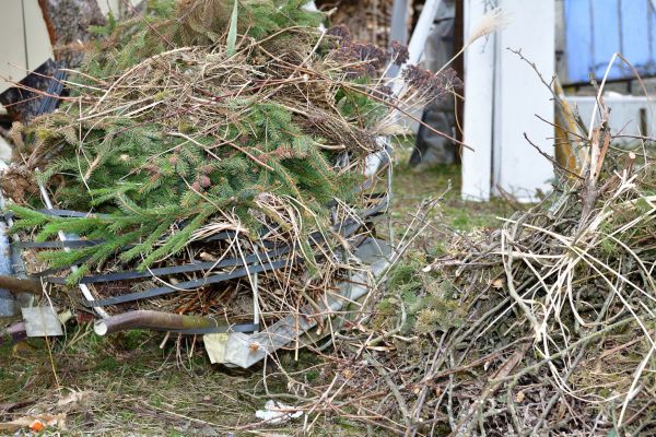 Yard Debris Removal in Livermore