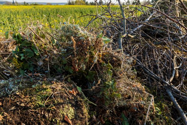 Brush Disposal in Livermore