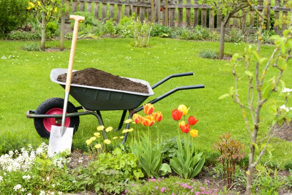 Cost of Spring Yard Cleanup in Livermore