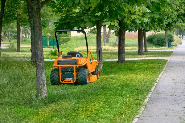 Landscaping Cleanup Service in Livermore