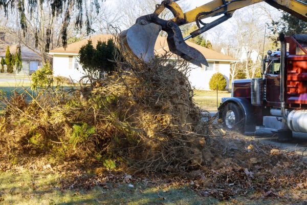 Storm Debris Removal in Livermore