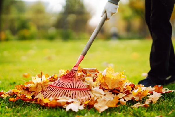 Cost of Ditch Leaf Removal in Livermore