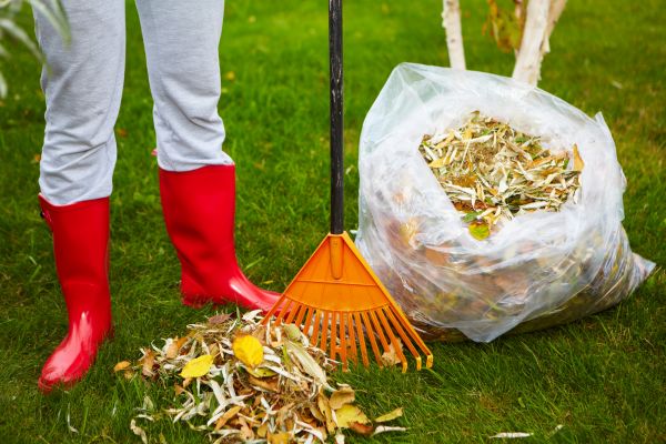 Cost of Leaf Disposal Service in Livermore