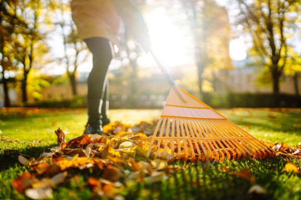 Leaves Raking in Livermore