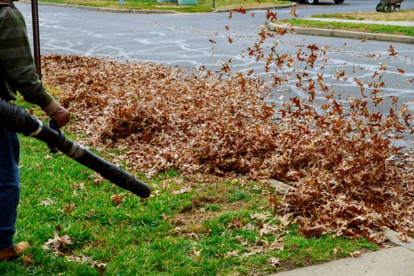 Cost of Garden Leaf Removal in Livermore