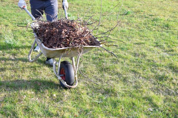 Yard Brush Removal in Livermore