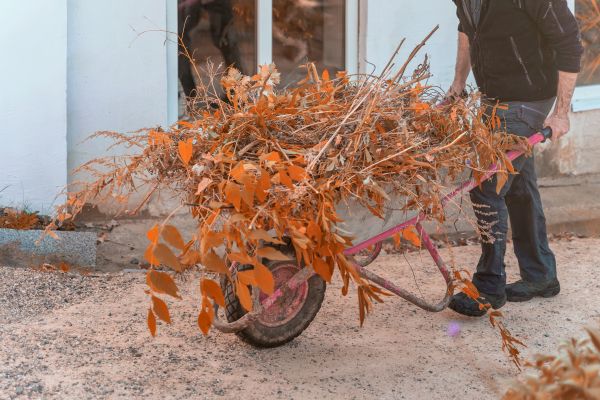 Cost of Lawn Debris Cleanup in Livermore