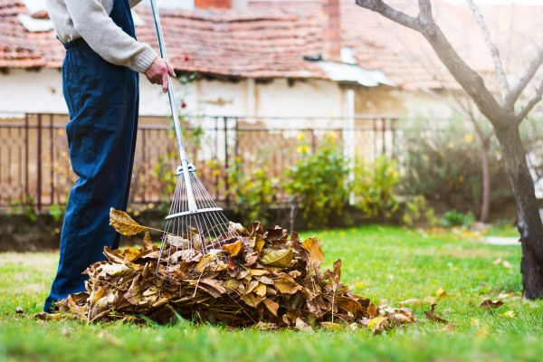 Spring Lawn Cleanup in Livermore