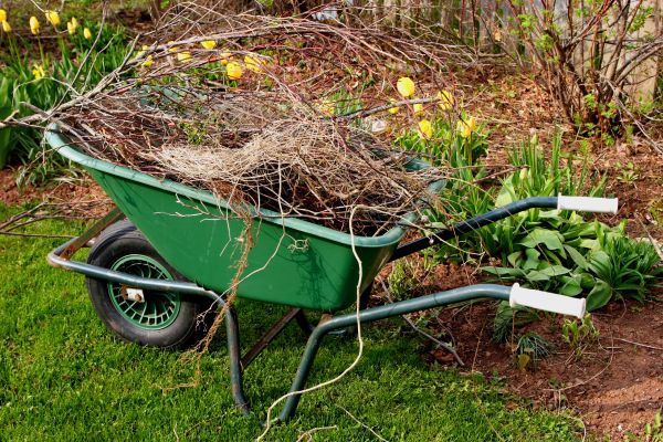 Lawn Waste Removal in Livermore