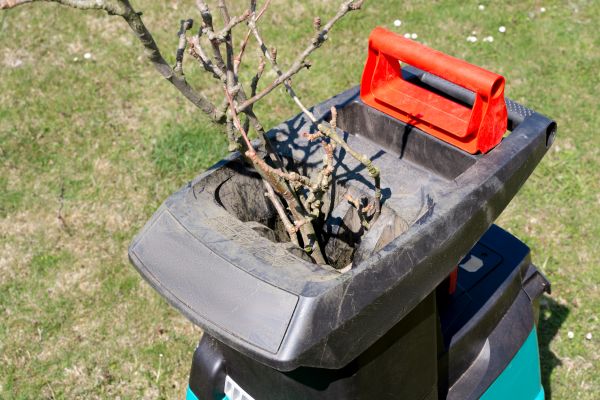 Cost of Brush Cleanup Service in Livermore