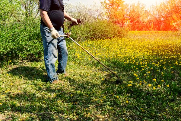 Yard Clearing Service in Livermore