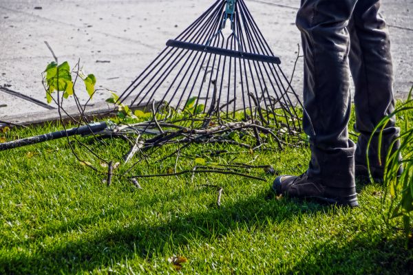 Yard Debris Cleanup in Livermore