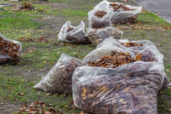 Cost of Leaf Pile Disposal in Livermore