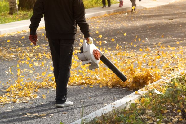 Commercial Leaf Removal in Livermore