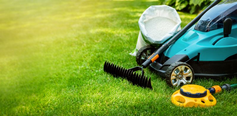 Professional Lawn Care Service