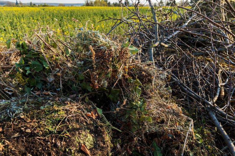 Yard Cleanup Service detail