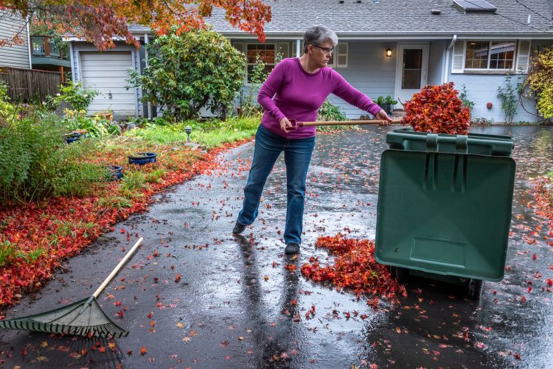 Fall Leaf Clearing